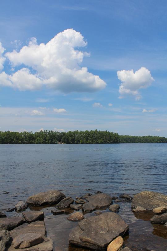 Campsite Details NonResident Weekend & Holiday Entrance, Quaddick