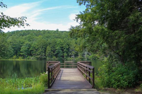 Campground Details - Bigelow Hollow Day Pass, CT - ReserveAmerica